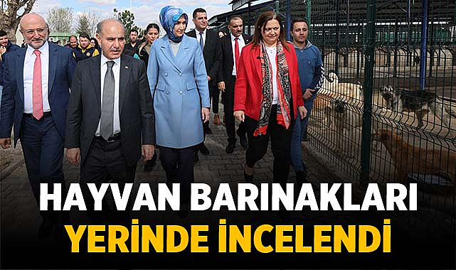 Afyonkarahisar’da Hayvan Barınakları Yerinde İncelendi – Afyon Haber