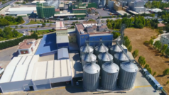 Türkiye'nin Yeni Ekmeği Konya’da Geliştirildi