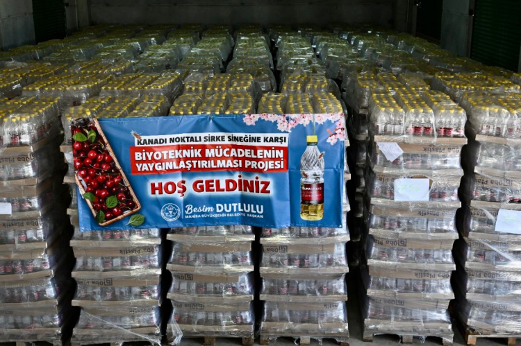 Manisa Büyükşehir’den üreticiye dev destek