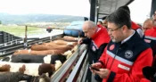 Kurbanlık sevklere 7/24 denetim! – İGF HABER