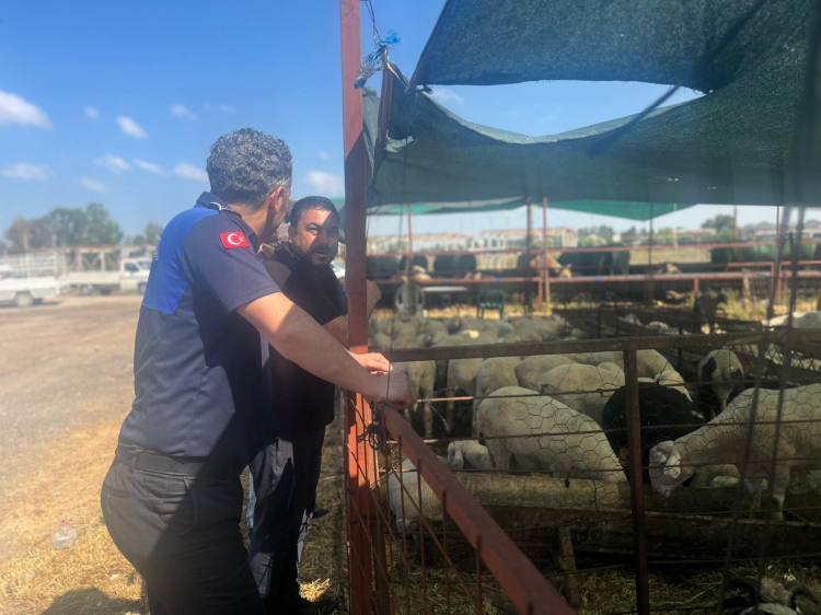 Çiğli’de kurban denetimleri aralıksız sürüyor