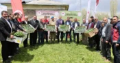 Ağrı Valiliği’nden Aşkale’ye 100 bin fide desteği