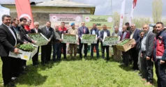 Ağrı Valiliği’nden Aşkale’ye 100 bin fide desteği