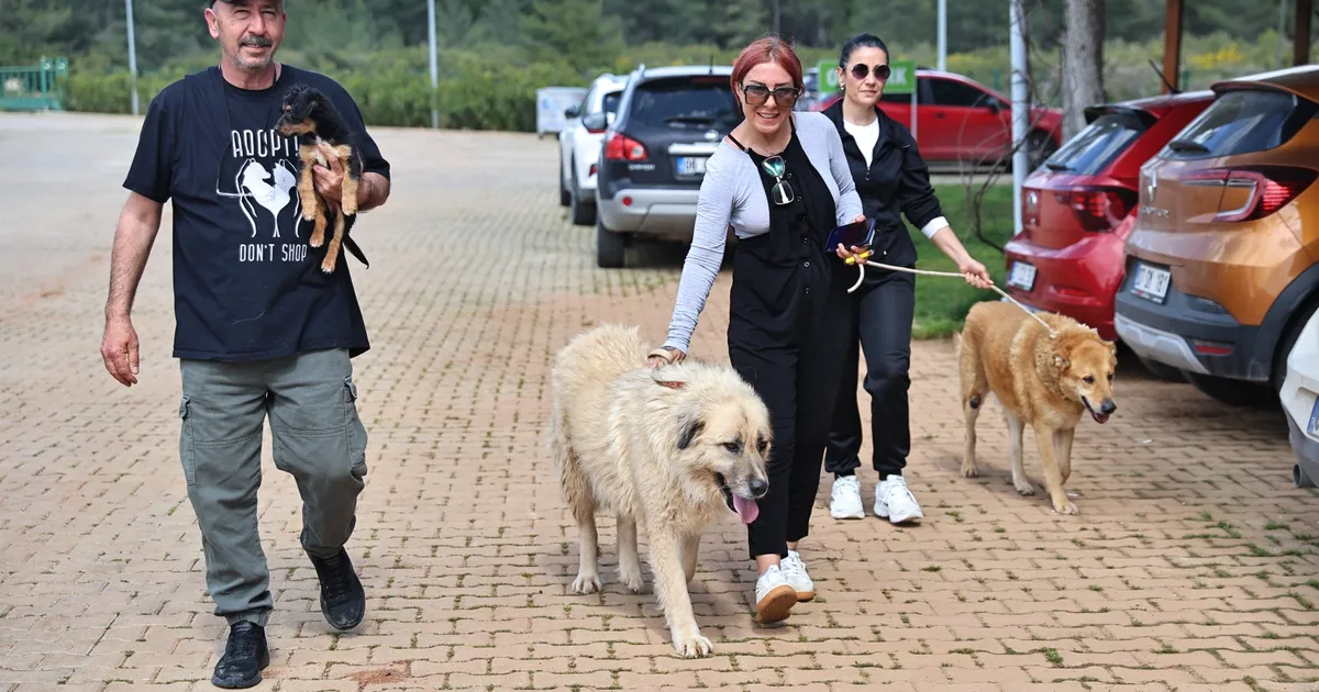 Antalya’da can dostlar sıcak yuvalarına kavuşuyor