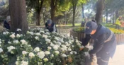 Bursa’da yeşil alanlarda çifte hazırlık