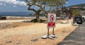 Bursa Gemlik sahilinde düzenleme tam gaz