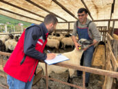 Kurban denetimleri 81 ilde sıkılaştırıldı