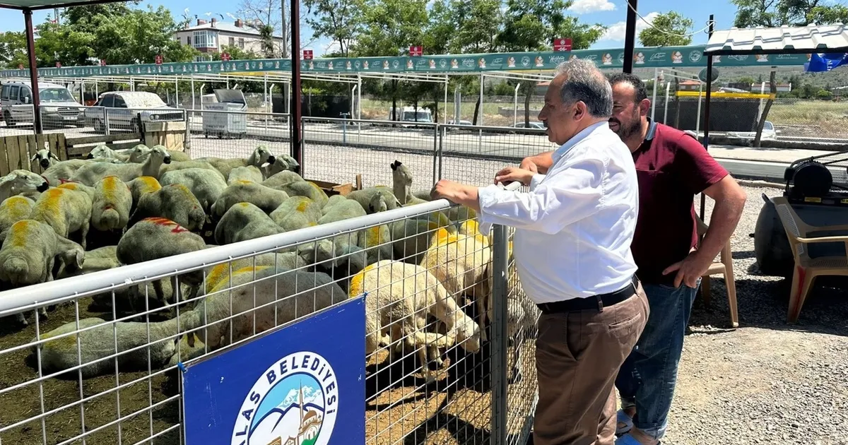 Kayseri Talas’ta kurban pazarına yoğun ilgi