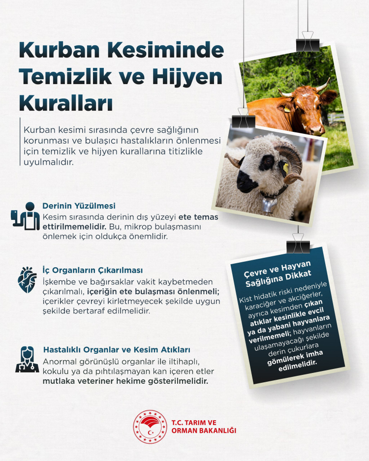 Bakanlıklardan peş peşe uyarılar… Kesimde hijyen, et saklama ve pişirme uyarıları