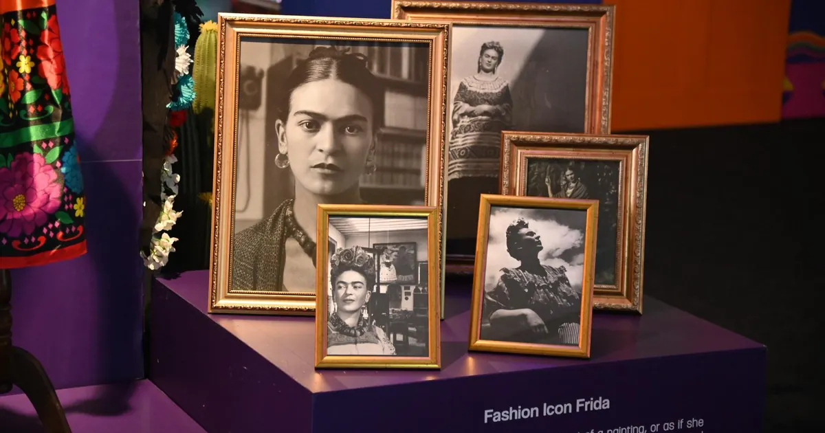 Manisa’da ‘Frida’ rekoru – İGF HABER