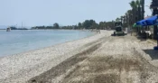 Muğla Milas’ta belediye ekipleri şehrin dört bir yanında