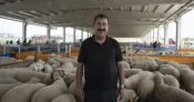 TÜRKYED’den kurbanlık uyarılar! – İGF HABER