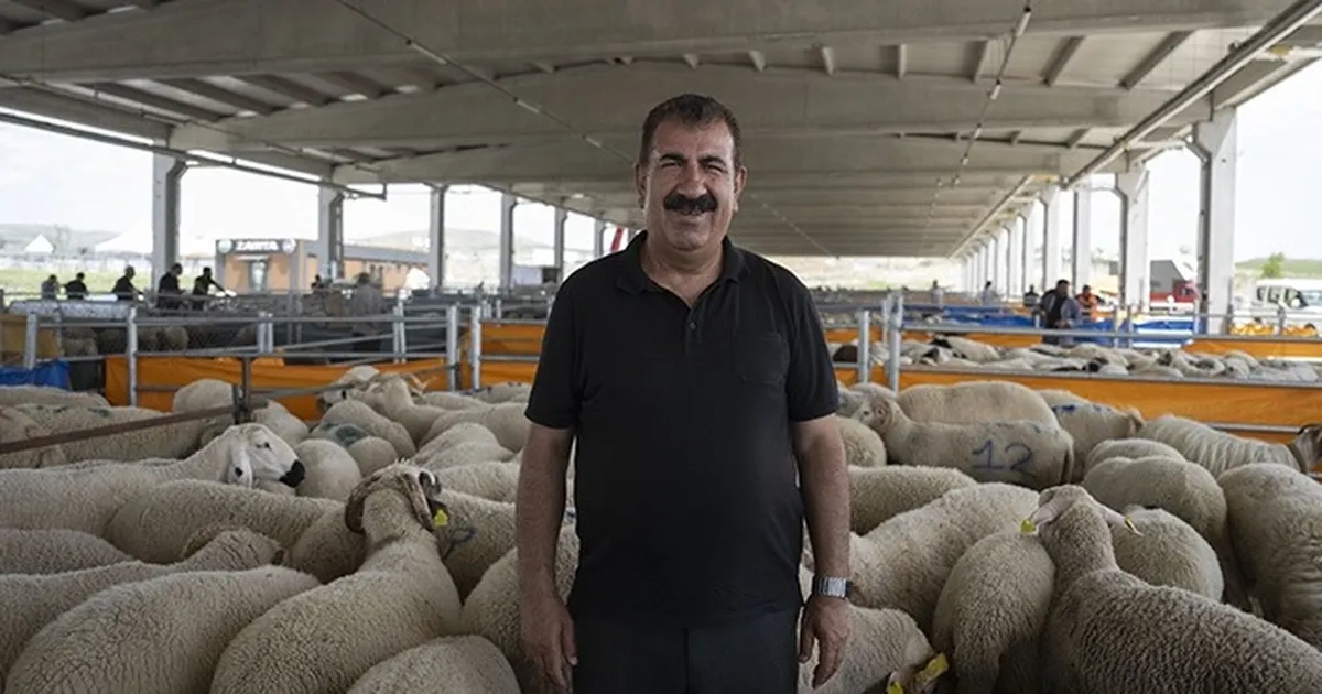TÜRKYED’den kurbanlık uyarılar! – İGF HABER