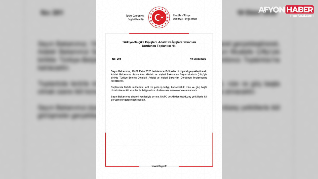 Türkiye-Belçika Zirvesi Brüksel’de! Terörle mücadele, vize ve göç masada - Detay Görsel 4